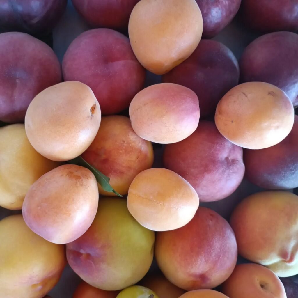 imagen de melocotones