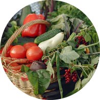 foto cajas de frutas